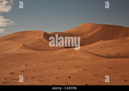 Wüstenszene Sanddünen al Ain Uae malerische Landschaft Stockfoto