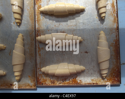 Croissants auf einem Backblech vor dem Schlafengehen in den Ofen Stockfoto