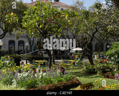 Öffentlicher Park Jardim Stadtgärten Garten in der Stadt Centre Funchal Madeira Portugal EU Europa Stockfoto