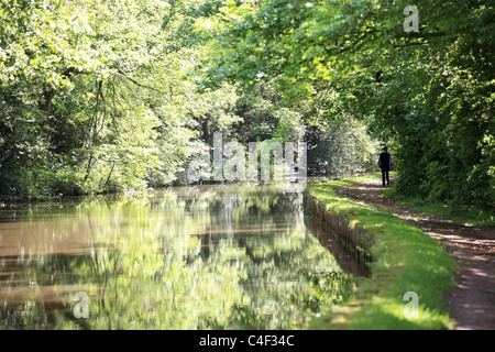 Ein Mann geht in die Ferne entlang der Leinpfad des Leeds und Liverpool Canal, in der Nähe von Skipton, North Yorkshire, England, UK Stockfoto