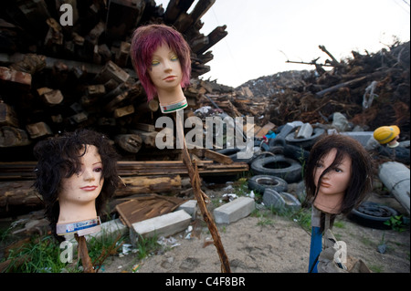 Die Köpfe der drei Männlein, die für die Ausbildung in Friseursalons verwendet werden auf Holzstäbchen an einem Standort der Abfallsammlung in Yamada festgelegt. Stockfoto