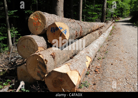 Holz in den Wäldern in der Nähe von Wilhelmsfeld Baden-Württemberg Deutschland gestapelt Lesung für den Transport von Stockfoto