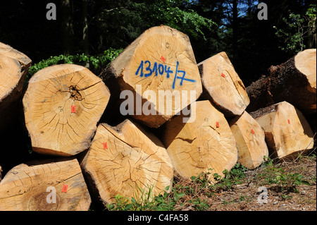 Holz in den Wäldern in der Nähe von Wilhelmsfeld Baden-Württemberg Deutschland gestapelt Lesung für den Transport von Stockfoto