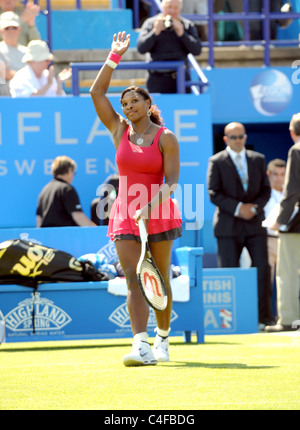 Serena Williams während ihres Erstrundensieg über Tsvetana Pironkova bei den Aegon International-Tennis-Turnier Stockfoto