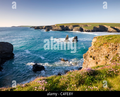 Klippe Blick auf Porthcothan Bay und Trevose Head, Cornwall, England. Frühjahr 2010 (Mai). Stockfoto