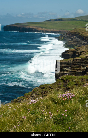 dh BIRSAY ORKNEY Küste Nordsee pinks Seacliffs Surf Brandung Skea Punkt Stockfoto