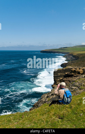 dh Scottish Seacliffs UK BIRSAY ORKNEY Birdwatcher Mann Fernglas Blick auf das Meer beobachten Sommer Vogelbeobachter beobachten Seevögel schottland Vögel Menschen Stockfoto