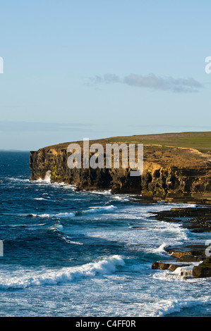 dh BIRSAY ORKNEY Skea Punkt Nord Küste Seacliffs Wellen brechen Stockfoto