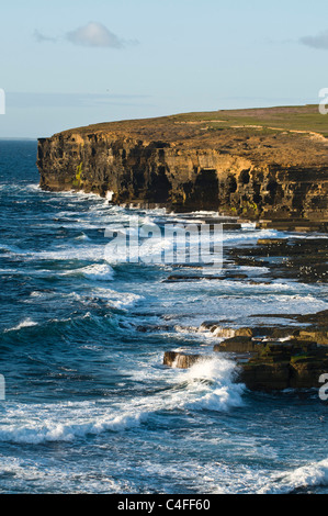 dh BIRSAY ORKNEY Skea Punkt Nord Küste Seacliffs surfen Wellen Meer Klippen Steilküste Stockfoto