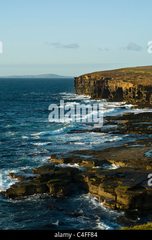 dh BIRSAY ORKNEY Skea Punkt Nord Küste Seacliffs Wellen brechen Stockfoto
