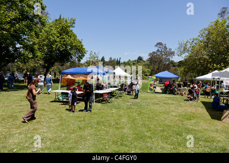 LOS GATOS, CA, USA - Juni 12: Die Quietscheentchen sind ihren Sommer bei der 4. jährlichen Silicon Valley Entenrennen in Vaso kicking off Stockfoto