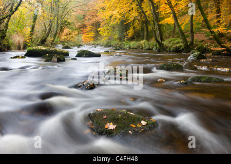 Die felsigen Fluß Teign Fingle Bridge im Dartmoor National Park, Devon, England. Herbst (November) 2010. Stockfoto