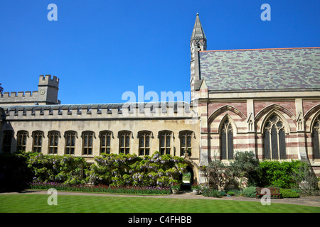 Am Balliol College der Universität Oxford, Oxfordshire, England, Vereinigtes Königreich Vereinigtes Königreich, GB, Großbritannien, britische Inseln, Europa, EU Stockfoto