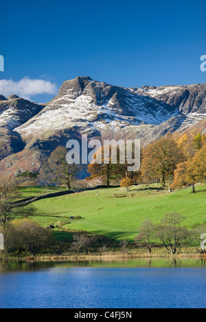 Schnee bestäubt Langdale Pikes angesehen von den Ufern des Loughrigg Tarn, Nationalpark Lake District, Cumbria Stockfoto