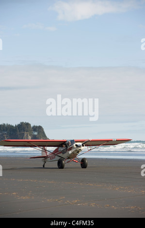 Piper Super Cub am Strand von Hinchinbrook Island, Alaska - 2011 Valdez Fly-in, Alaska Stockfoto