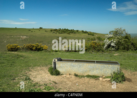 Blick auf des Teufels Deich aus der South Downs Way in der Nähe von Sommer Down, West Sussex. Stockfoto