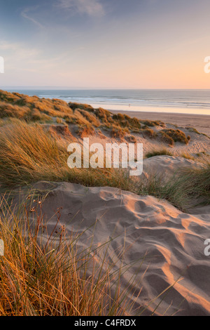 Dünengebieten Grass auf den Sanddünen von Braunton Burrows, mit Blick auf Saunton Sands Beach, Devon, England. Sommer (Juni) 2011. Stockfoto