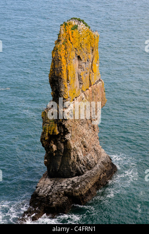 Ein Meer-Stack am Elegug in Pembrokeshire Nationalpark Stockfoto
