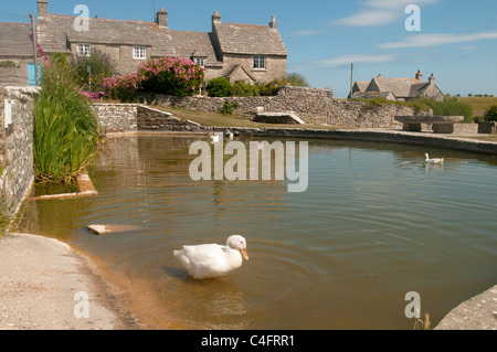 Der Dorfteich bei Wert Matravers, in der Nähe von Swanage, Dorset, UK. Juli. Stockfoto