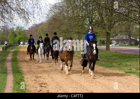 Reiten im Hyde Park, London, UK Stockfoto