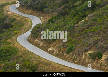 Verdrehen der Kurven auf der Landstraße in der Nähe von San Gregorio, San Mateo County, Kalifornien Stockfoto