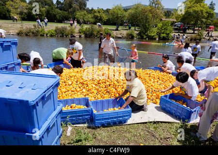 LOS GATOS, CA, USA - Juni 12: Die Quietscheentchen sind ihren Sommer bei der 4. jährlichen Silicon Valley Entenrennen in Vaso kicking off Stockfoto