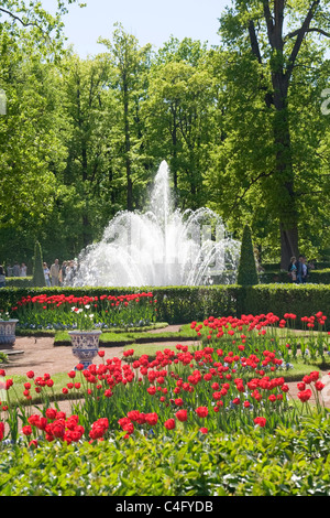 Russland, St. Petersburg, Peterhof, Petergof Barock Peter The Great Palace gebaut 1721 Monplaisir Palast Garten Garbe Brunnen Stockfoto