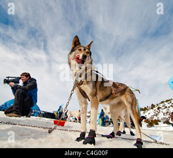 Pirena 2010, Tramacastilla de Tena. La Partacua, Huesca. Spanien Stockfoto