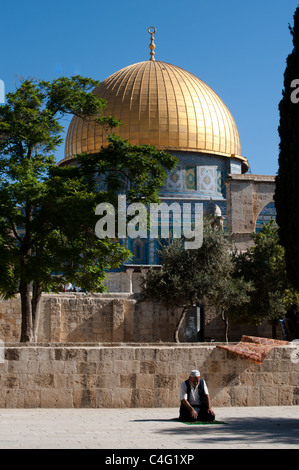 Ein muslimischer Mann betet in der Nähe der Felsendom auf dem Haram al-Sharif, auch bekannt als der Tempelberg in der Altstadt von Jerusalem. Stockfoto