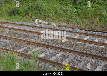 NI Railways, auch bekannt als Northern Ireland Railways (NIR) und für einen kurzen Zeitraum Ulster Transport Eisenbahn (UTR) ist die railwa Stockfoto