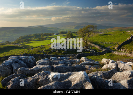 Winskill Steinen, Ribblesdale, Yorkshire Dales National Park, England, Vereinigtes Königreich Stockfoto
