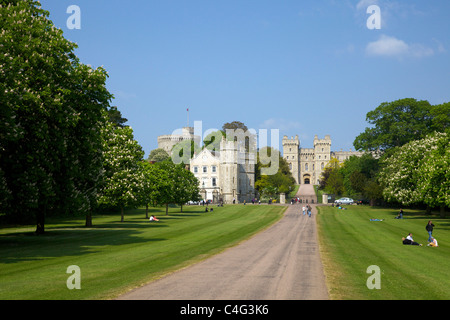 Kastanien im Sommer über die lange gehen Windsor Great Park Berkshire England UK Großbritannien GB Europas Stockfoto