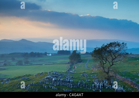 Winskill Steinen, Ribblesdale, Yorkshire Dales National Park, England, Vereinigtes Königreich Stockfoto