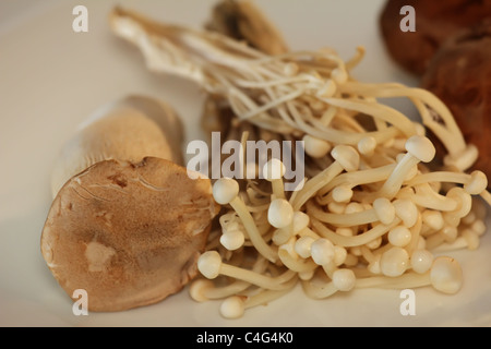 Frische Lebensmittel für Vegan/Vegetarisch Stockfoto