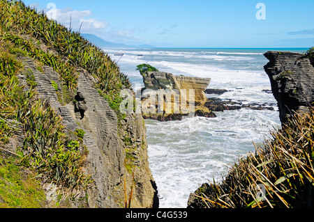 Felsformationen der Pancake Rocks, Punakaiki, Paparoa-Nationalpark, Südinsel von Neuseeland Stockfoto