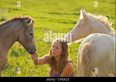 junge Frau und zwei Connemara-Fohlen auf der Wiese Stockfoto