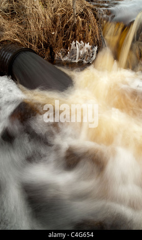 Draintrohr überläuft und spuckt schwarzes Wasser, Finnland Stockfoto