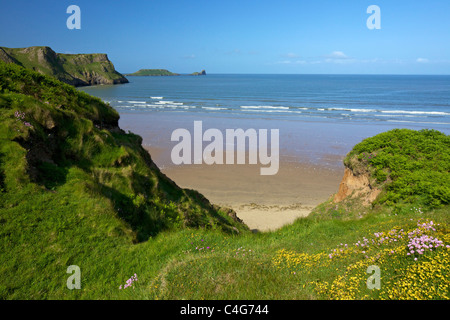 Meer Sparsamkeit an Küste, Rhossili Strand in Frühlingssonne Gower Halbinsel South Wales Cymru UK GB British Isles Stockfoto