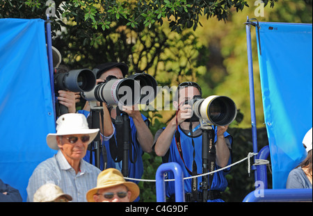 Fotografen mit langen Objektiven bei den Aegon International Tennis Championships in Eastbourne UK 2011 Stockfoto