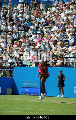 US-amerikanische Tennisspielerin Serena Williams dient den Ball bei den Aegon International Tennis Championships in Eastbourne Stockfoto