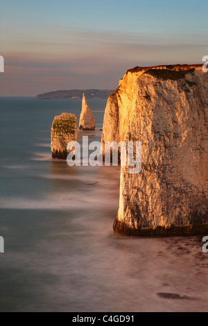 Old Harry Rocks, Handfast Punkt Studland, Jurassic Coast, Dorset, England Stockfoto