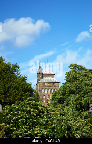 Marquis von Bute Clock Tower, Cymru, UK GB Cardiff Castle, South Glamorgan, Wales Stockfoto