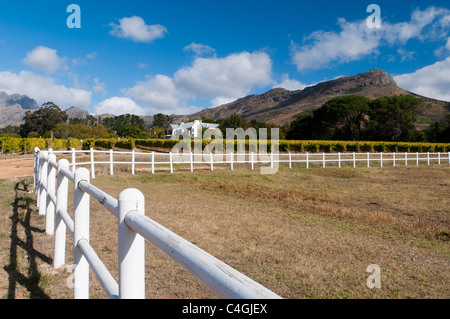 Zorgvliet Wine Estate, Stellenbosch, Kapstadt, Südafrika. Stockfoto