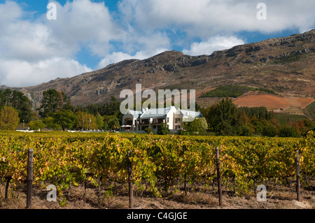 Zorgvliet Wine Estate, Stellenbosch, Kapstadt, Südafrika. Stockfoto