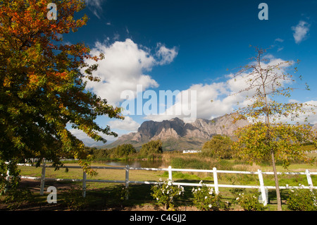 Zorgvliet Wine Estate, Stellenbosch, Kapstadt, Südafrika. Stockfoto