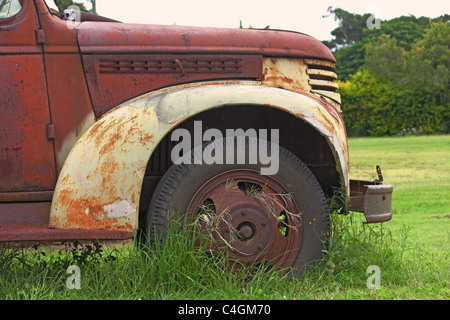 ROSTIGEN ALTEN LASTWAGEN IN EIN FELD BDB Stockfoto