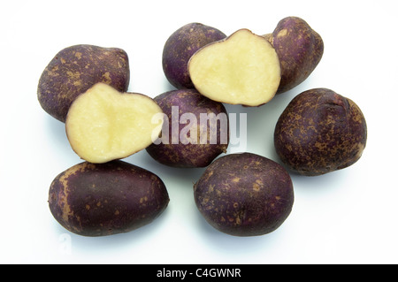 Kartoffel (Solanum Tuberosum Yetholm Zigeuner). Kartoffeln, Studio Bild vor einem weißen Hintergrund. Stockfoto