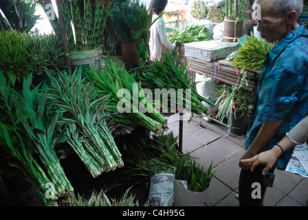 Flower Market Chinatown Bangkok Thailand Asien Stockfoto