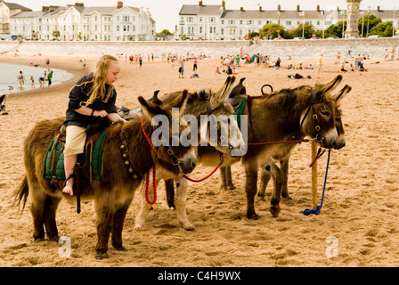 Eselreiten auf Exmouth Strand, Devon, England, UK Stockfoto