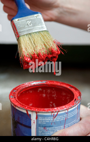 Nahaufnahme eines jungen kaukasischen Womans Hand hält einen Pinsel tropft geladen mit roter Farbe über einen Farbtopf Stockfoto